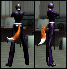 Tail