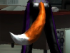 Tail