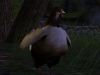 Reindert Chicken